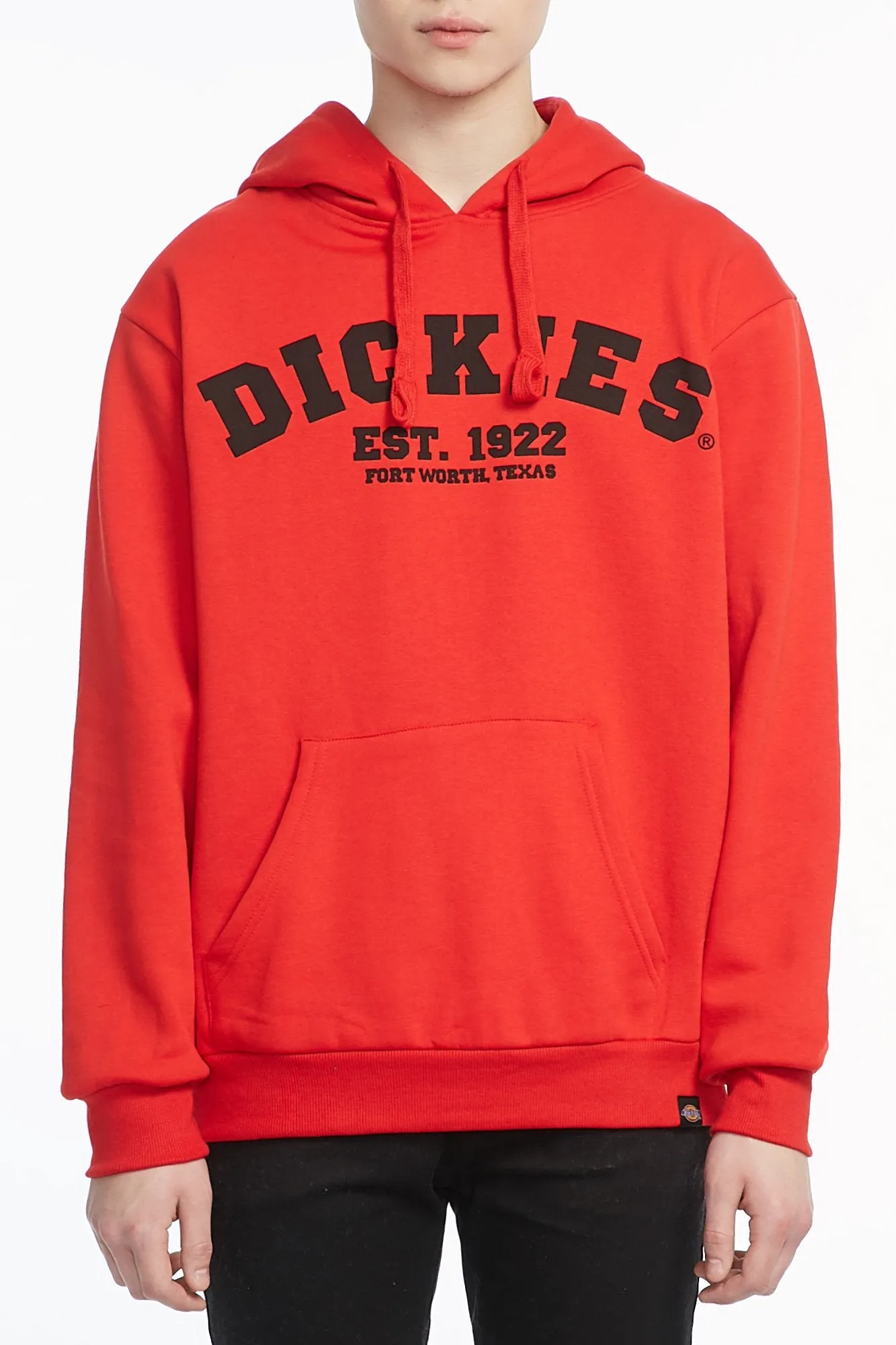 Dickies Guys Graphic Est 1922 Fleece Popover Hoodie