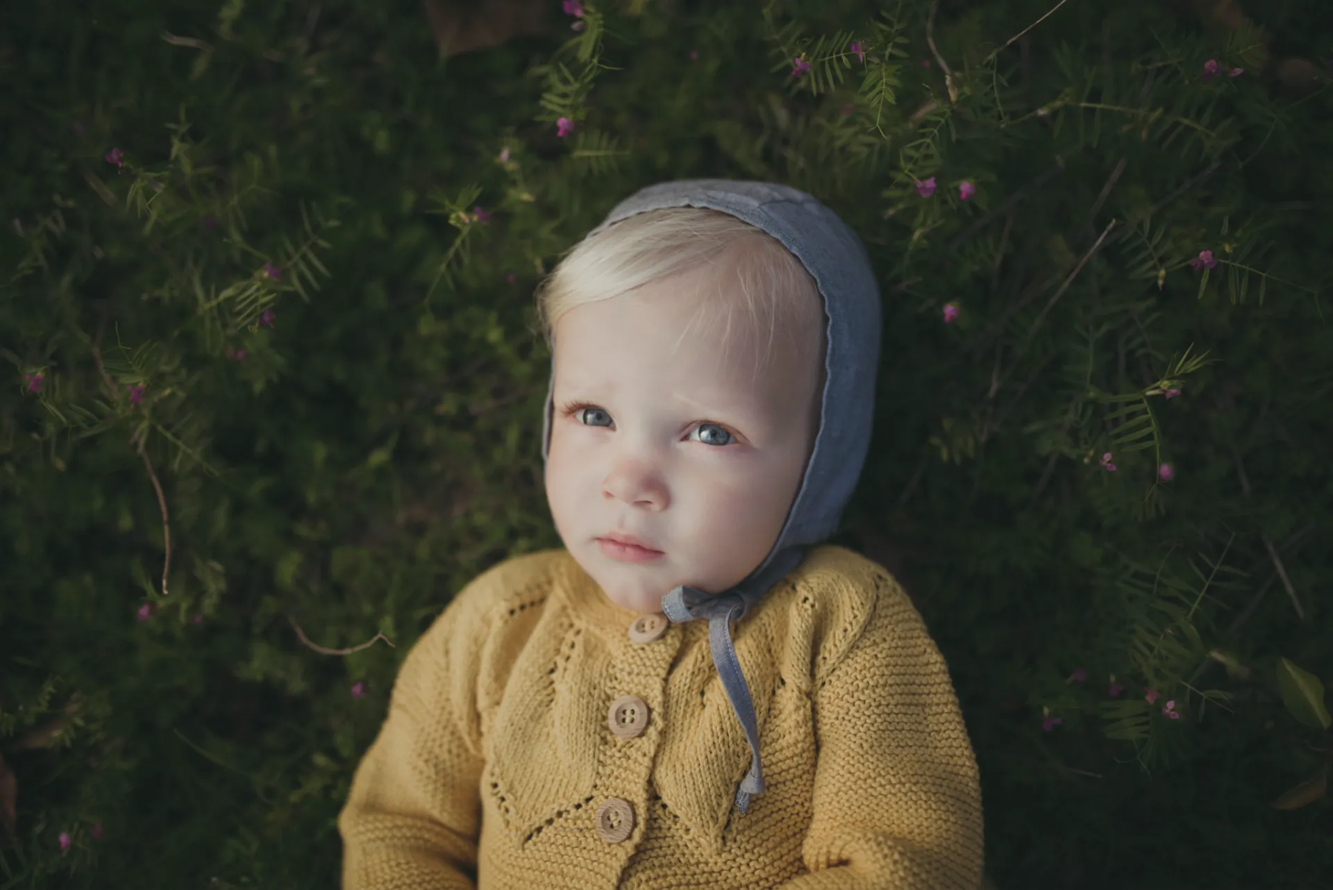 Leaf Cardigan