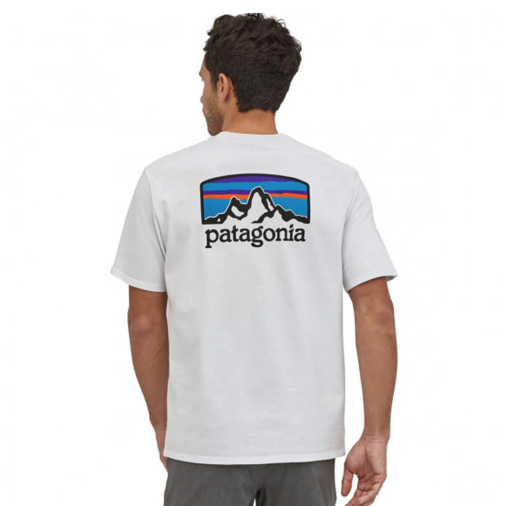 Mens Patagonia Fitz Roy Horizons Responsibili-Tee