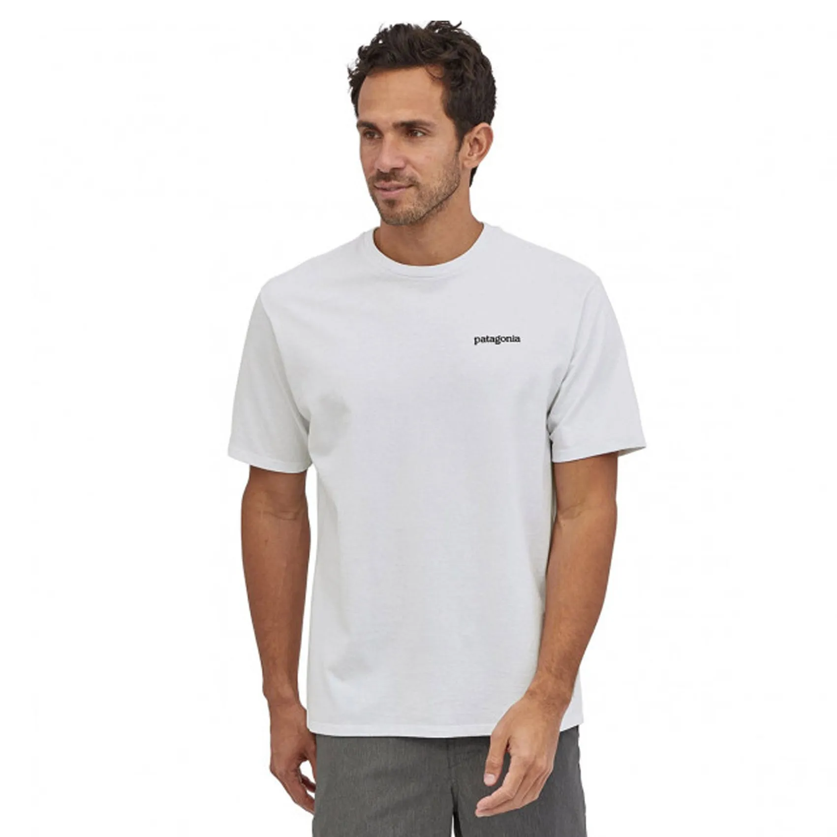 Mens Patagonia Fitz Roy Horizons Responsibili-Tee